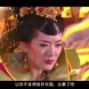 一肖一码免费公开资料大全2024